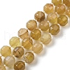 Natural Agate Beads Strands G-C039-D02-1