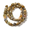 Natural Yellow Moss Agate Beads Strands G-B078-D13-01-3