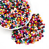 Baking Paint Glass Seed Beads SEED-N007-02D-1