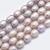 Natural Cultured Freshwater Pearl Beads Strands PEAR-F007-85B-01-1