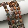 Natural Red Picasso Stone/Polychrome Jasper Beads Strands G-U023-A10-01-1