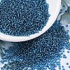 MIYUKI Round Rocailles Beads X-SEED-G007-RR0025-1