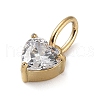 316 Stainless Steel Micro Pave Cubic Zirconia Charms ZIRC-P108-01G-D-2