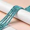 Natural Howlite Beads Strands G-C025-10B-2