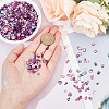 AHADERMAKER 1 Bags Abalone Shell Flakes Cabochons SHEL-GA0001-17B-3