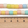 Handmade Lampwork Beads Strands LAMP-S070-06E-5