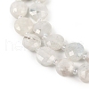 Natural Rainbow Moonstone Beads Strands G-B094-A06-01-3
