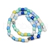 Handmade Lampwork Beads Strands LAMP-S070-06D-2