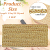 Polyester Braided Lace Ribbons OCOR-WH0060-73A-2