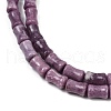 Natural Lepidolite/Purple Mica Stone Beads Strands G-F792-B01-4