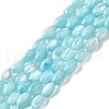 Natural Trochus Shell Beads Strands SHEL-K006-19D-1