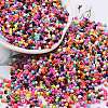 Baking Paint Glass Seed Beads SEED-S042-05B-48-1