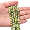 Natural Serpentine Beads Strands G-N166-6-5