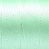 Nylon Sewing Thread NWIR-N006-01G-0.2mm-2