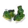 Opaque Resin Pendants RESI-G077-01-2