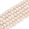 Natural Cultured Freshwater Pearl Beads Strands PEAR-I007-07X-07A-2