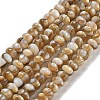 Natural Freshwater Shell Beads Strands X-BSHE-G038-05-1