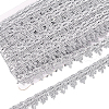 Sparkle Polyester Lace Ribbon OCOR-WH0080-34C-1