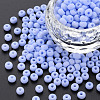 6/0 Glass Seed Beads SEED-T005-14-B24-4