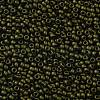 TOHO Round Seed Beads X-SEED-TR11-0617-2