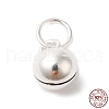 925 Sterling Silver Charms STER-G033-01S-1