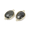Natural Labradorite Faceted Connector Charms G-K347-11G-06-2