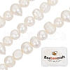 Beebeecraft 1 Strand Natural Cultured Freshwater Pearl Beads Strands PEAR-BBC0001-21-1