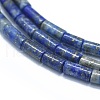 Natural Lapis Lazuli Beads Strands G-F631-B04-3