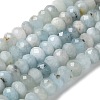 Natural Aquamarine Beads Strands G-I378-B04-02-2