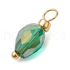 Glass Charms PALLOY-JF02742-4