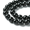Natural Black Onyx Round Beads Strand X-G-L087-12mm-01-3