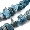 Natural Apatite Beads Strands G-I283-F23-2