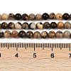 Natural Zebra Jasper Beads Strands G-F792-C13-07-5