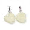 Natural Trochid Shell/Trochus Shell Pendants SSHEL-K027-10-1