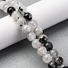 Natural Tourmalinated Quartz Beads Strands G-P336-02A-8mm-5