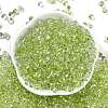 6/0 Spray Paint Glass Seed Beads X1-SEED-H003-11N-3