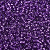 MIYUKI Round Rocailles Beads X-SEED-G007-RR1345-3