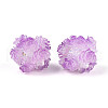Resin Beads RESI-T059-04F-1