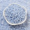 Glass Seed Beads SEED-K009-02B-18-2