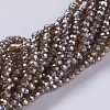 Electroplate Glass Beads Strands GLAA-F078-FP05-1