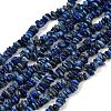 Natural Lapis Lazuli Beads Strands G-Q060-C04-2