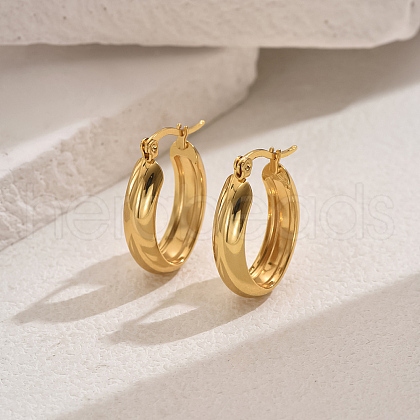 Elegant Stainless Steel Hoop Earrings TG2342-1-1