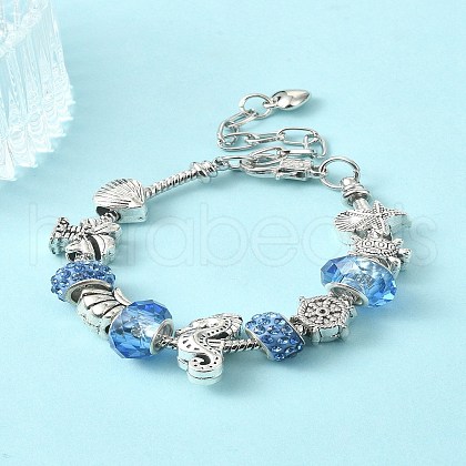 DIY Eurpean Bracelet Making Kit DIY-YW0007-89-1