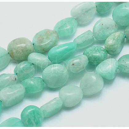 Natural Amazonite Beads Strands G-E483-50-1