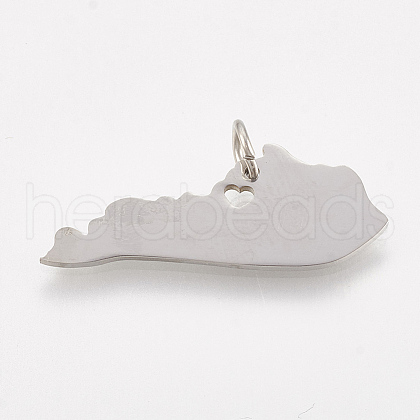 Tarnish Resistant 201 Stainless Steel Pendants STAS-T038-47-1