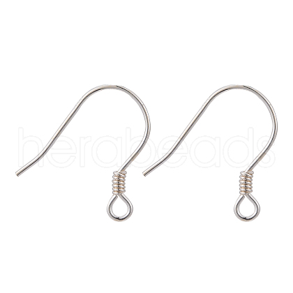 925 Sterling Silver Earring Hooks STER-M031-01S-1