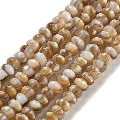 Natural Freshwater Shell Beads Strands X-BSHE-G038-05-1
