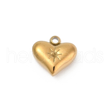 304 Stainless Steel Pendants STAS-L283-23G-1