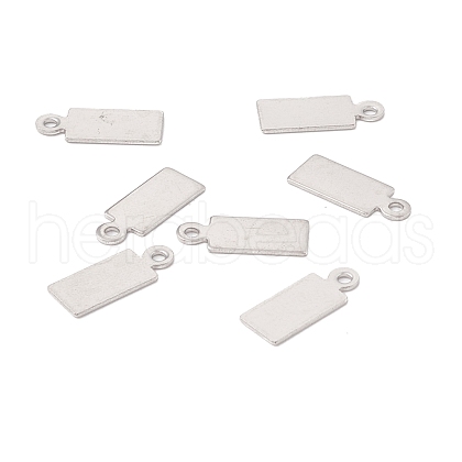 Non-Tarnish 304 Stainless Steel Charms STAS-P307-15C-P-1