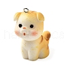 Resin Pendants FIND-U031-06P-1